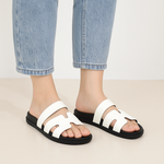 DAHLIA IMPORTED SLIDES
